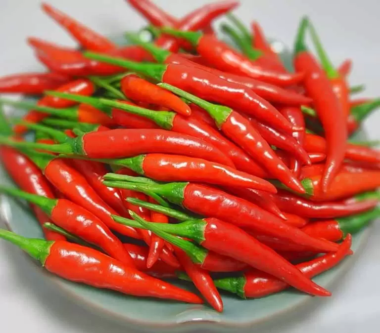 Organic Chilli: Nutrient-Dense Therapeutics